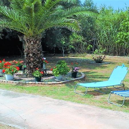 מאקרי Myconian Summer House מראה חיצוני תמונה