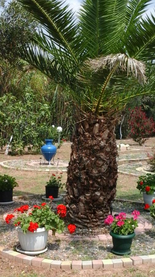 מאקרי Myconian Summer House מראה חיצוני תמונה