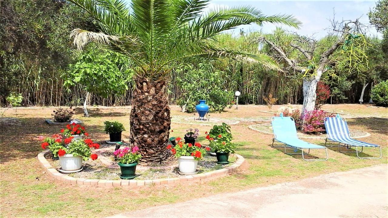מאקרי Myconian Summer House מראה חיצוני תמונה